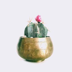 Store Buddha Bracelet